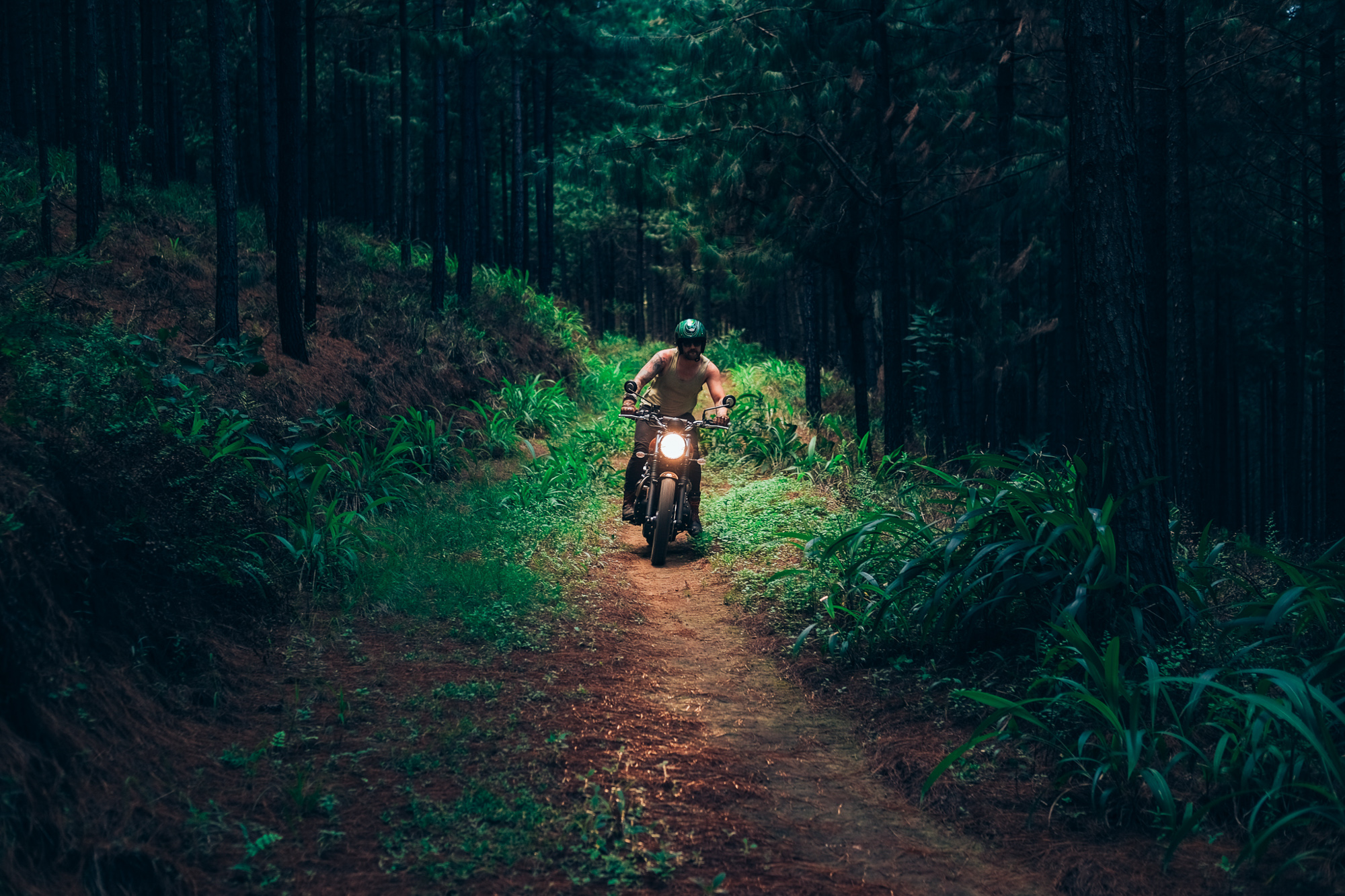 sabie bubble run forest ride