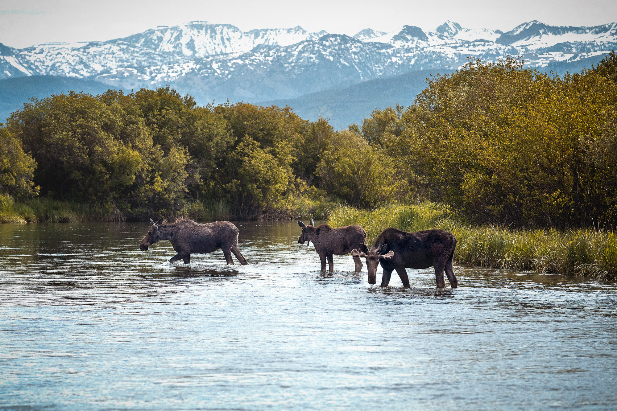 leave no trace principles 3