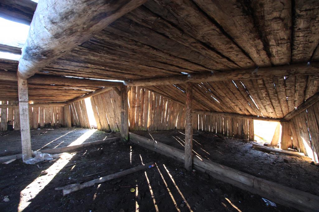 IMG_5301_zpsc8a096ea