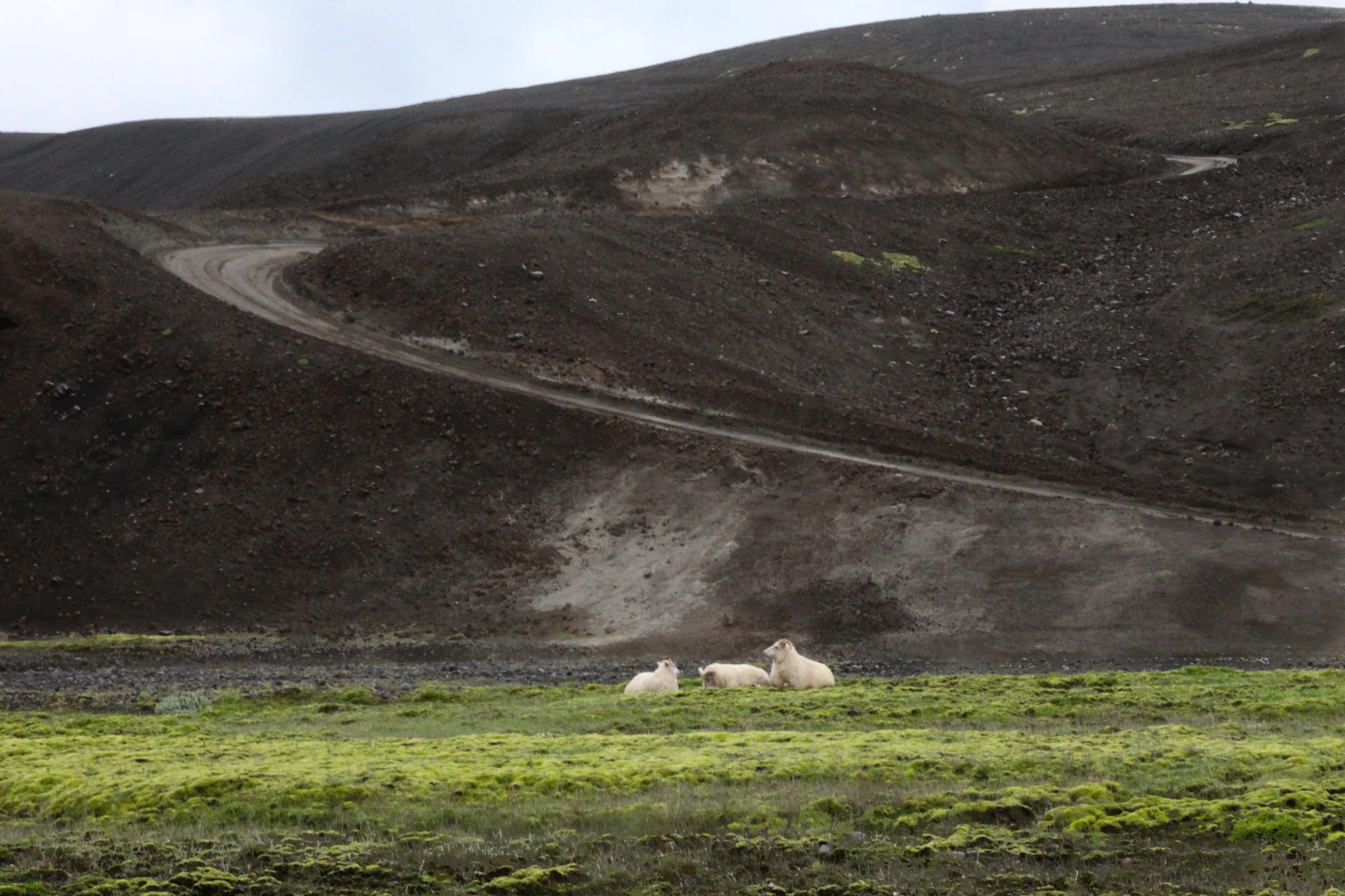 IMG_2922 - Version 2