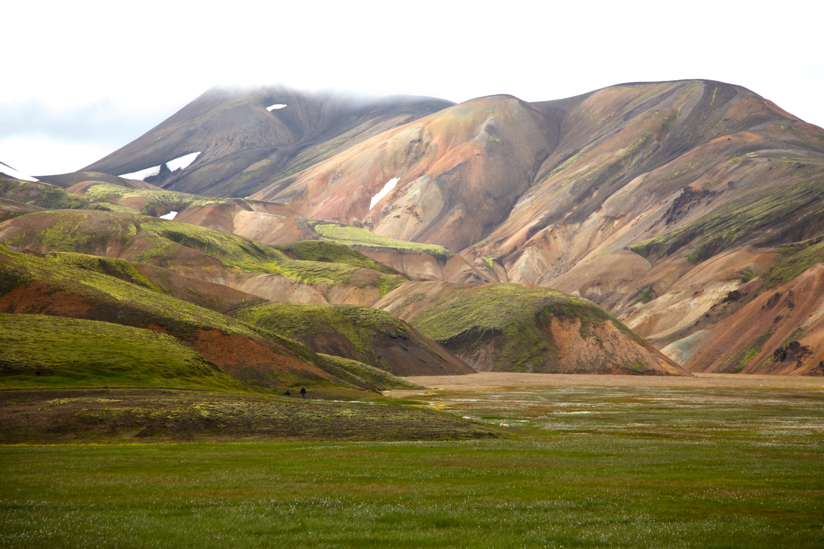 IMG_4070 - Version 3