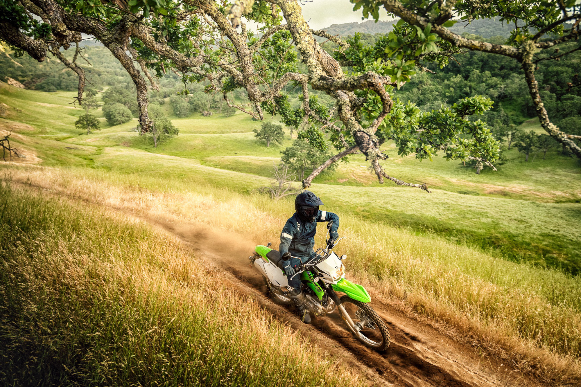 kawasaki KLX230RS 2021