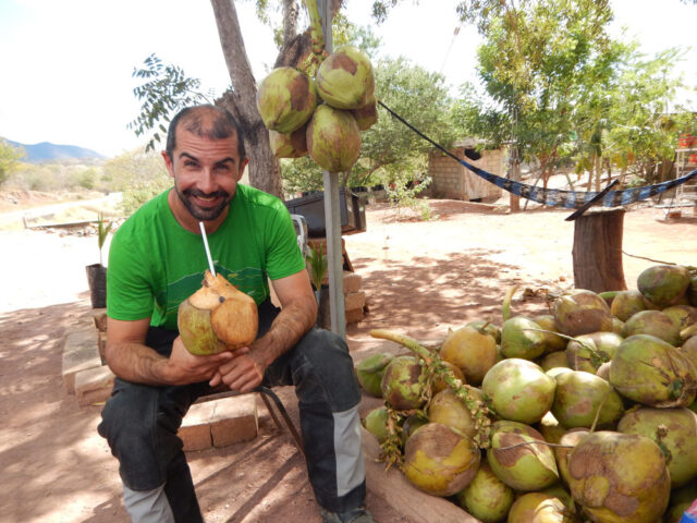 dave sears hydrating with coconut