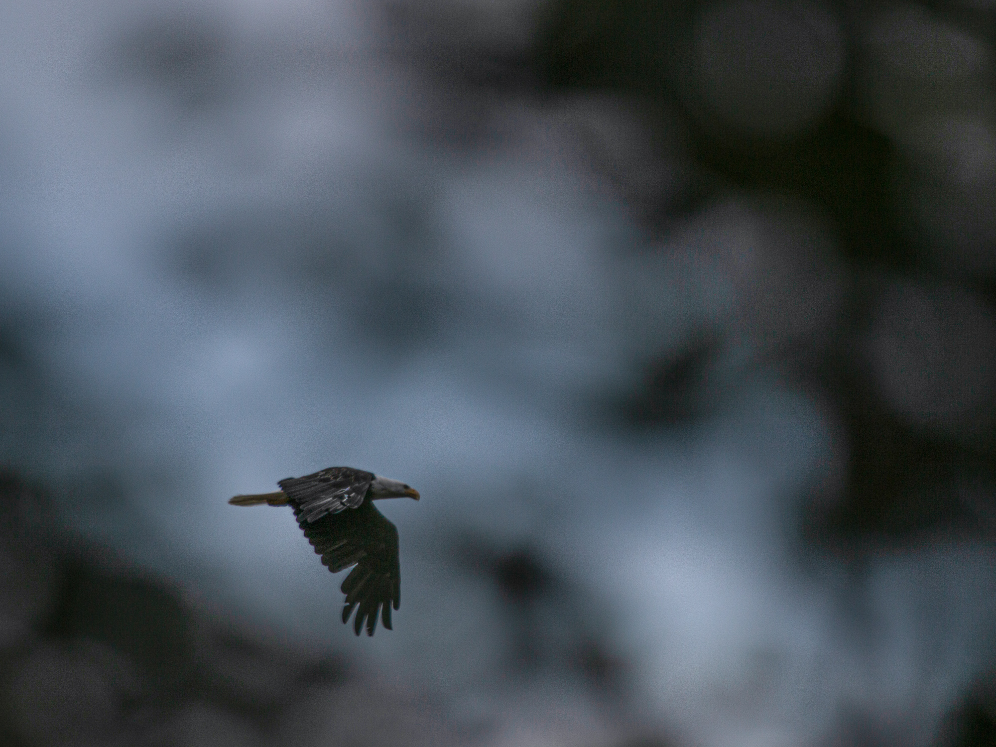 riding full circle telkwa pass 10