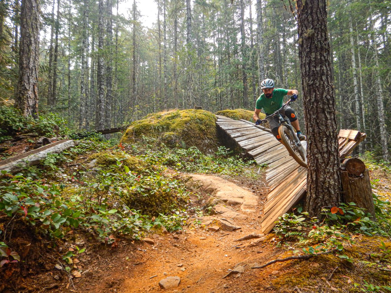 mountain biking in cumberland BC